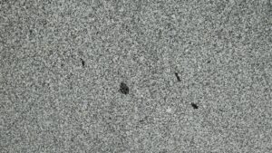 categoria materiale